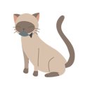 پیش‌نمایش فایل playful-kitten-with-fish-12622101 از پک گربه