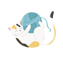 پیش‌نمایش فایل playful-kitten-with-yarn-ball-12622116 از پک گربه