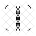 پیش‌نمایش فایل dna-authentication-12696052 از پک فناوری