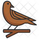 پیش‌نمایش فایل bird-4444384 از پک جشنواره هالووین