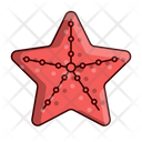 پیش‌نمایش فایل star-fish-5599023 از پک تابستان