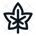 پیش‌نمایش فایل maple-leaf-2119852 از پک پاییز