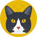 پیش‌نمایش فایل cat-332 از پک Animals 