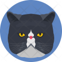پیش‌نمایش فایل feline-1 از پک Animals 