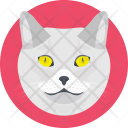 پیش‌نمایش فایل feline از پک Animals 