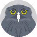 پیش‌نمایش فایل owl-206 از پک Animals 