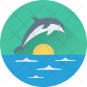 پیش‌نمایش فایل dolphin-88 از پک تابستان و تعطیلات ۱
