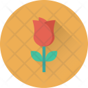 پیش‌نمایش فایل rose-174 از پک Summer And Holiday 1 
