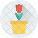 پیش‌نمایش فایل plant-467 از پک عشق و عاشقی ۱