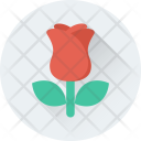 پیش‌نمایش فایل rosebud-45 از پک Love And Romance 1 