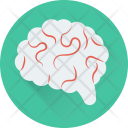 پیش‌نمایش فایل human-brain-16 از پک مدرسه و آموزش ۱