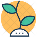 پیش‌نمایش فایل organic-reach از پک سئو و بازاریابی ۱
