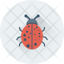 پیش‌نمایش فایل bug-281 از پک طراحی و توسعه وب ۱