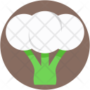 پیش‌نمایش فایل cauliflower-36 از پک غذا
