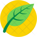 پیش‌نمایش فایل leaf-466 از پک غذا