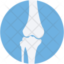 پیش‌نمایش فایل bone-joints از پک پزشکی و سلامت