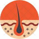 پیش‌نمایش فایل dermatology-5 از پک پزشکی و سلامت