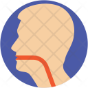 پیش‌نمایش فایل esophagus-4 از پک پزشکی و سلامت