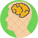 پیش‌نمایش فایل human-brain-19 از پک پزشکی و سلامت