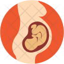 پیش‌نمایش فایل pregnancy-5 از پک پزشکی و سلامت