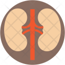 پیش‌نمایش فایل kidneys-50 از پک پزشکی و سلامت