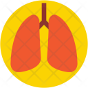 پیش‌نمایش فایل lungs-104 از پک پزشکی و سلامت