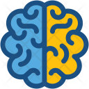 پیش‌نمایش فایل human-brain-22 از پک مدرسه و آموزش