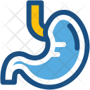 پیش‌نمایش فایل stomach-91 از پک پزشکی و سلامت