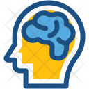 پیش‌نمایش فایل brain-429 از پک وب و رابط کاربری