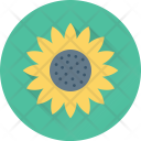 پیش‌نمایش فایل sunflower-125 از پک غذا