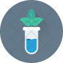 پیش‌نمایش فایل botany-30 از پک علم و تکنولوژی