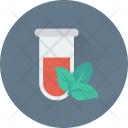 پیش‌نمایش فایل botany-31 از پک علم و تکنولوژی