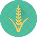 پیش‌نمایش فایل wheat-161 از پک غذا