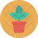 پیش‌نمایش فایل plant-502 از پک علم و تکنولوژی