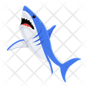 پیش‌نمایش فایل blue-shark-8599889 از پک کوسه