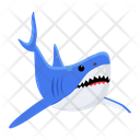پیش‌نمایش فایل blue-shark-8599906 از پک کوسه