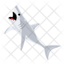 پیش‌نمایش فایل carcharodon-carcharias-8599892 از پک کوسه