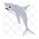 پیش‌نمایش فایل carcharodon-carcharias-8599899 از پک کوسه