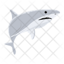 پیش‌نمایش فایل carcharodon-carcharias-8599907 از پک کوسه