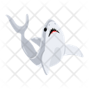 پیش‌نمایش فایل carcharodon-carcharias-8599930 از پک کوسه