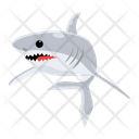 پیش‌نمایش فایل carcharodon-carcharias-8599944 از پک کوسه