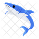 پیش‌نمایش فایل elasmobranch-fish-8599943 از پک کوسه