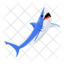 پیش‌نمایش فایل shark-8599895 از پک کوسه