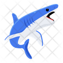 پیش‌نمایش فایل shark-8599904 از پک کوسه