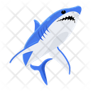 پیش‌نمایش فایل shark-8599916 از پک کوسه