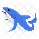 پیش‌نمایش فایل shark-8599929 از پک کوسه
