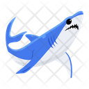 پیش‌نمایش فایل shark-8599934 از پک کوسه