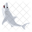پیش‌نمایش فایل shark-fish-8599894 از پک کوسه