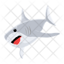 پیش‌نمایش فایل shark-fish-8599901 از پک کوسه