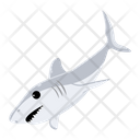پیش‌نمایش فایل shark-fish-8599911 از پک کوسه